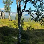 Skarvhytta - Moderne Med Flott Beliggenhet * Hol (Buskerud)