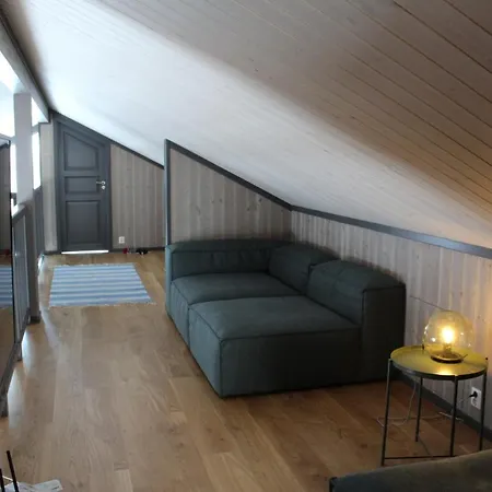 Skarvhytta - Moderne Med Flott Beliggenhet Hol (Buskerud)