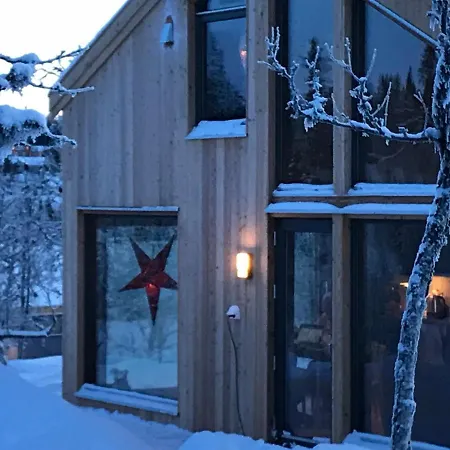 Skarvhytta - Moderne Med Flott Beliggenhet * Hol (Buskerud)