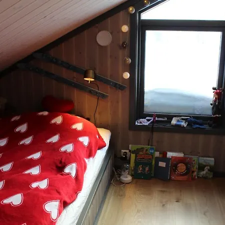 Holiday home Skarvhytta - Moderne Med Flott Beliggenhet Hol (Buskerud)