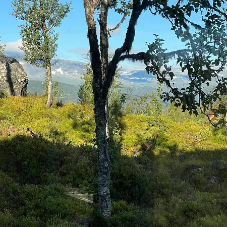 Skarvhytta - Moderne Med Flott Beliggenhet * Hol (Buskerud)