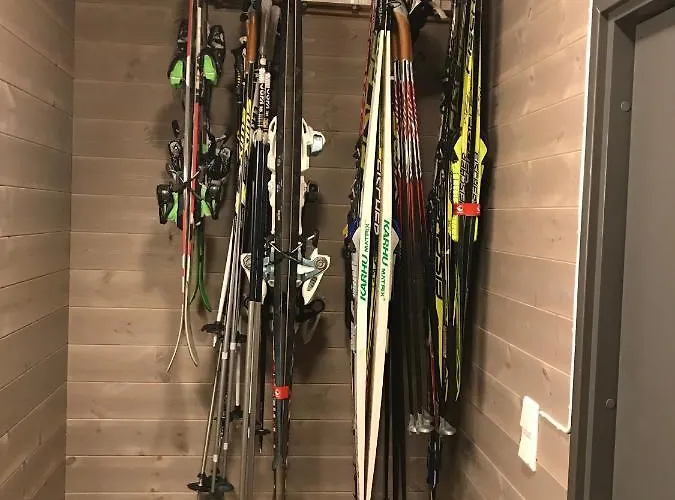 Skarvhytta - Moderne Med Flott Beliggenhet * Hol (Buskerud)