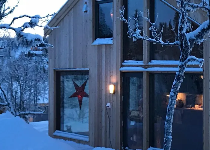 Skarvhytta - Moderne Med Flott Beliggenhet * Hol (Buskerud)