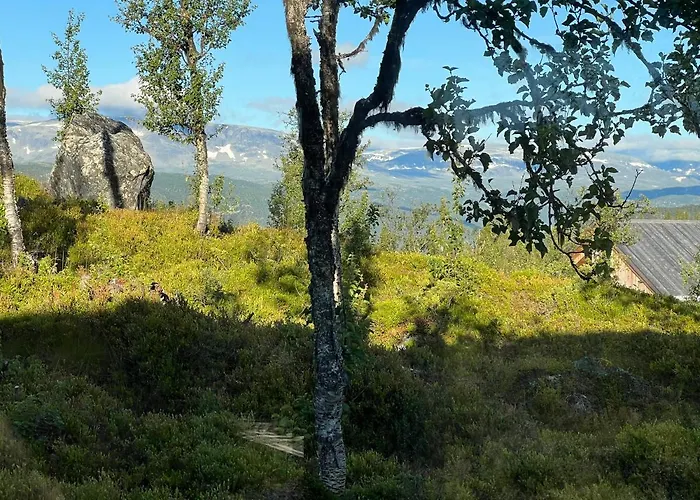 Skarvhytta - Moderne Med Flott Beliggenhet * Hol (Buskerud)